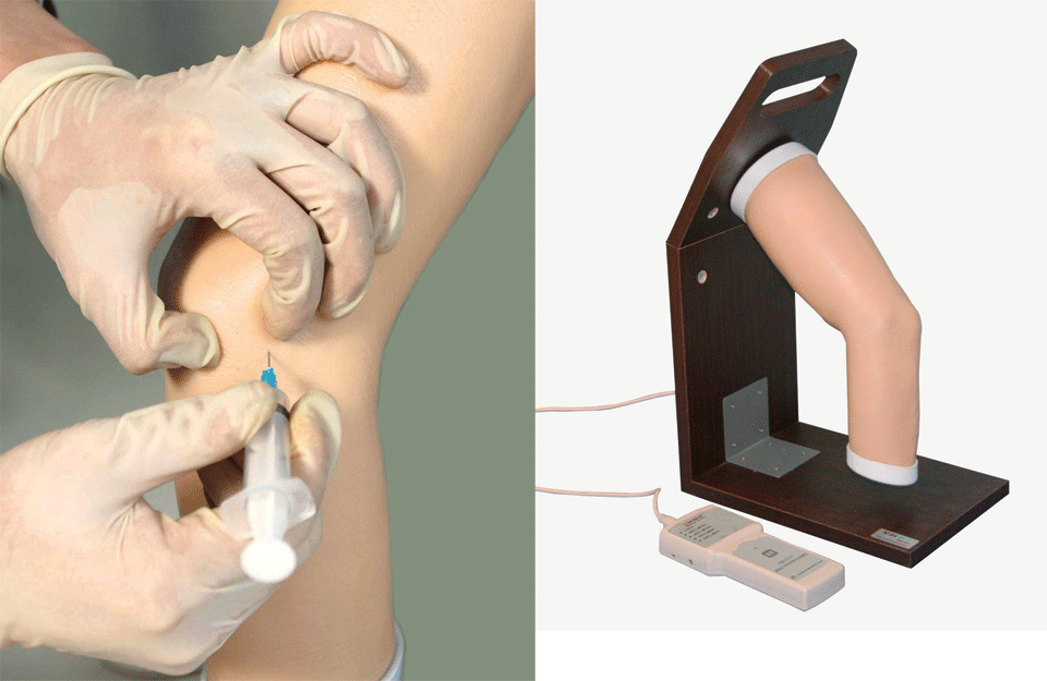 高级电子肘关节腔内注射模型
